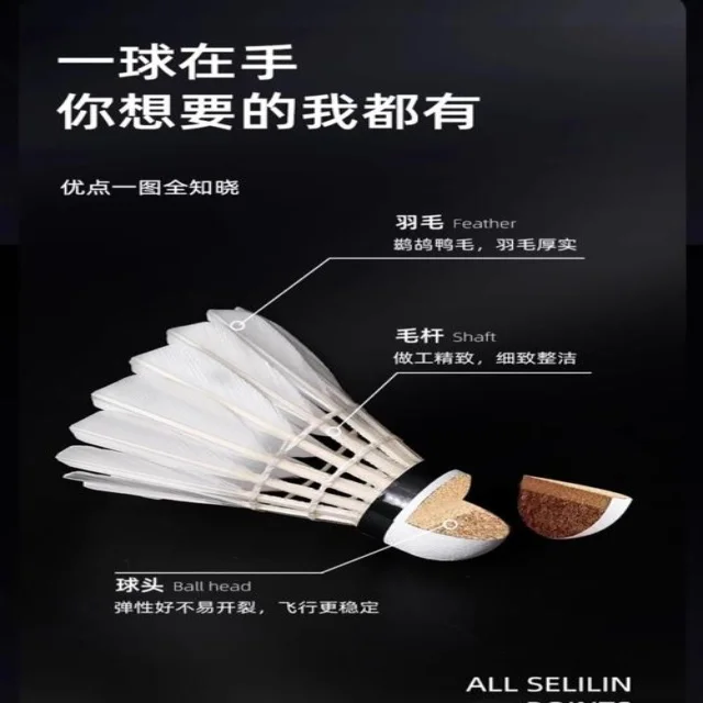 解读新闻资讯关键数据与趋势的深度洞察